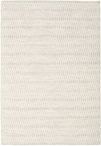  160X230 Einfarbig Kelim Long Stitch Teppich - Beige Wolle, 