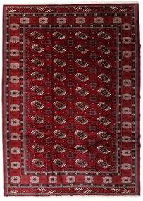 Turkaman Teppich Teppich 204X285 Dunkelrot/Rot (Wolle, Persien/Iran)