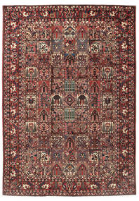 Bachtiar Teppich 255X365 Rot/Braun Großer (Wolle, Persien/Iran)